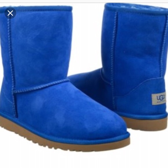 short blue uggs